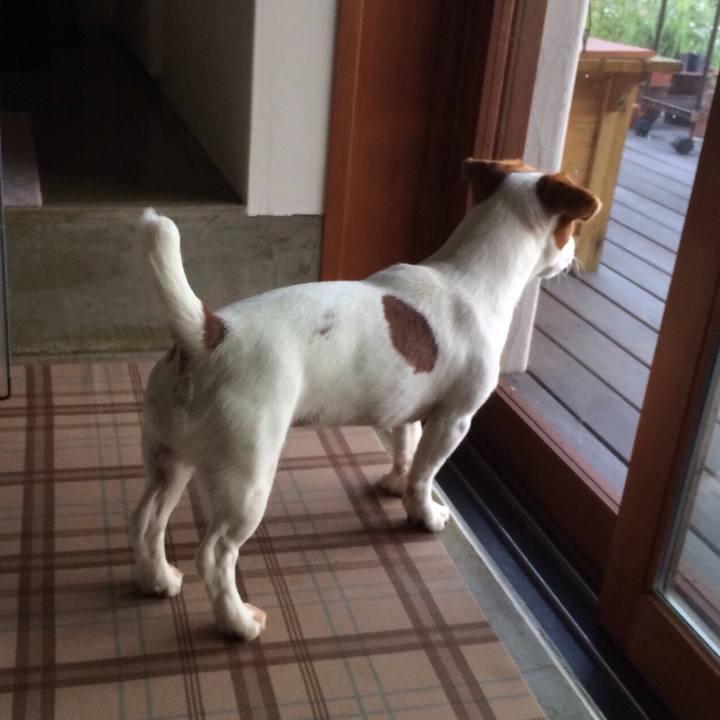 C70faa0e c463 4cb5 93f9 0cb0716e17cb