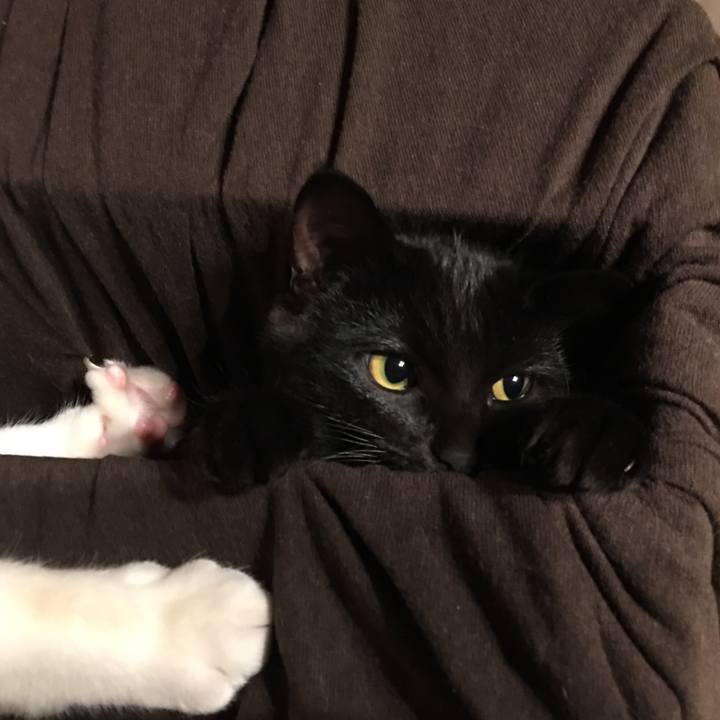 C710644c fd69 43c3 b97d d4929cb1f4c9