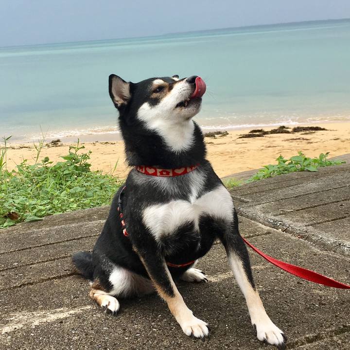 C711fd64 3627 4be4 a73a eb67601e6a1b