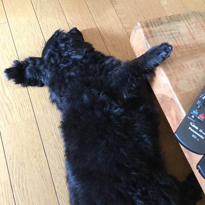 C71336e1 744d 43f8 84a7 e2dffbd77d54