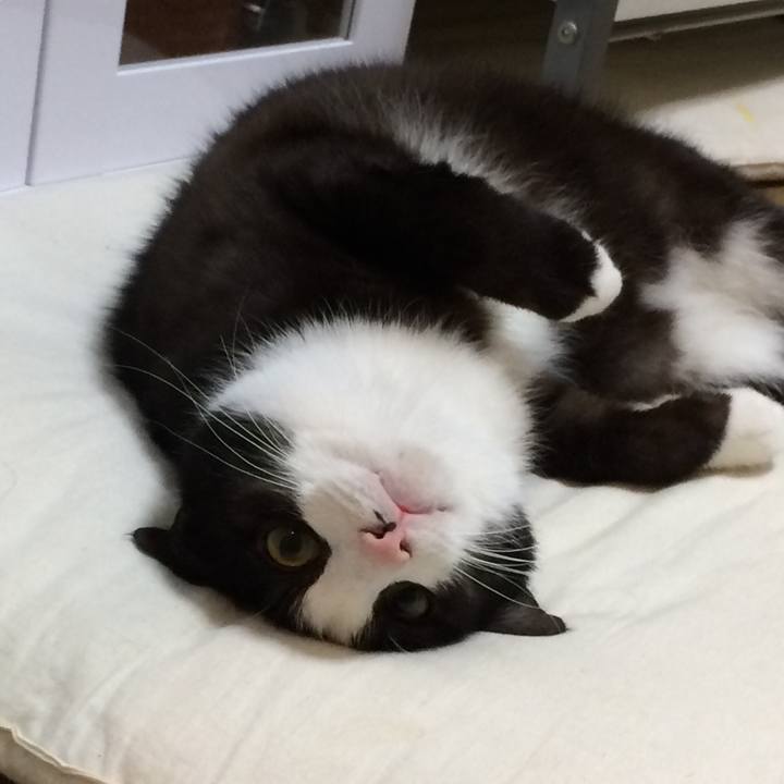 C7135783 1ec2 4ce8 ac7b 5751d3415d90