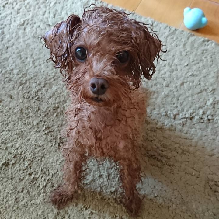 C713c73d 9c66 499b b476 3869556b7c9a