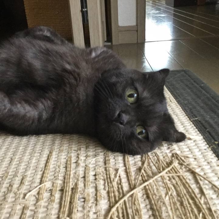 C713c9ce 17f4 4b63 a5e8 107b172aaed6