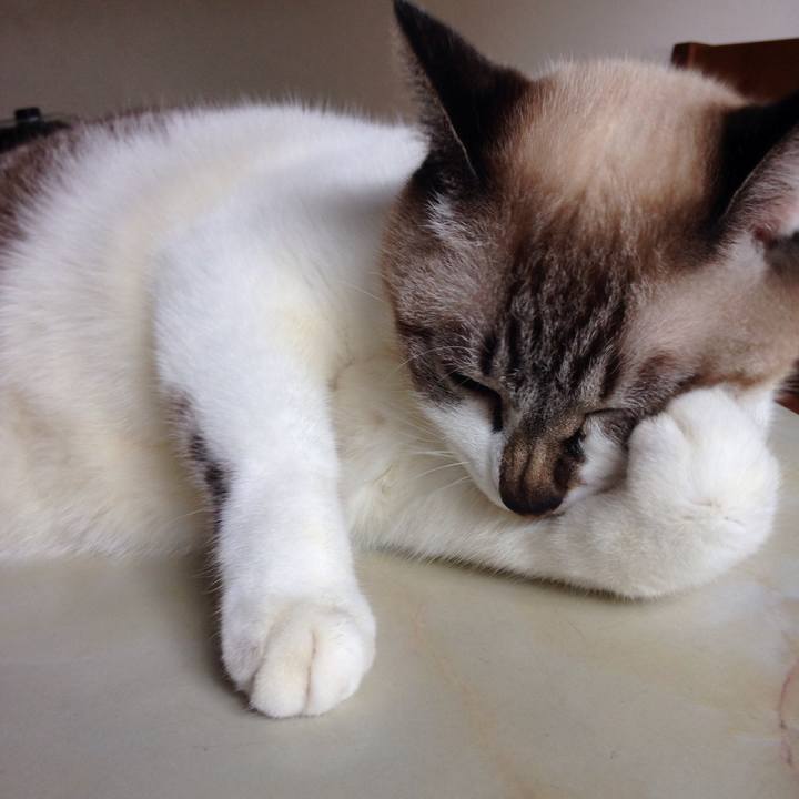 C713ca8e 4fd2 4389 8a10 a1c3515e0bfa