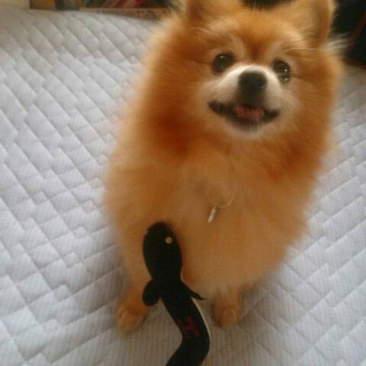 C7149dfc a76b 4a37 8d72 7de5dd6275af