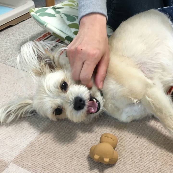 C7158304 1976 4bb1 9557 1d496c79e118