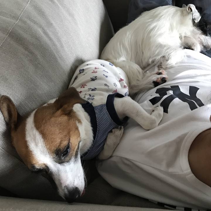 C715c706 35e5 4281 826d d6e5dd4b2038