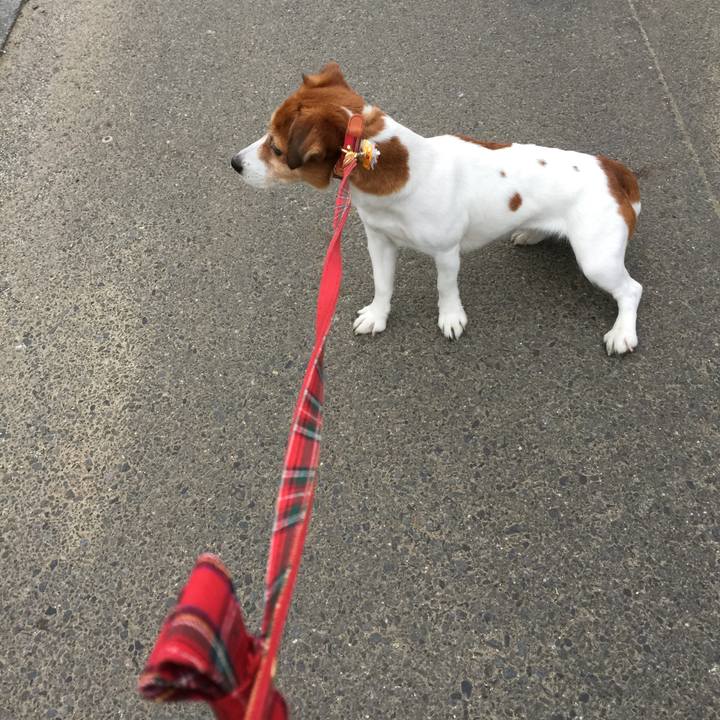 C7162602 02f1 4d94 8175 53ba111468da