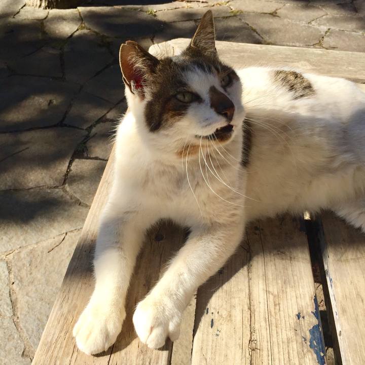 C716ed98 c2c9 44c6 aed5 35007714eb0a