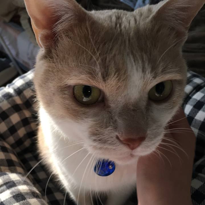 C716f4ad 3398 4880 9536 34a51e1e6ed6