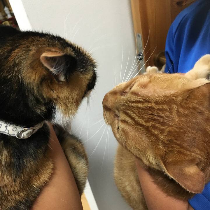 C717100b 7724 44f4 a435 8c558a137fcc