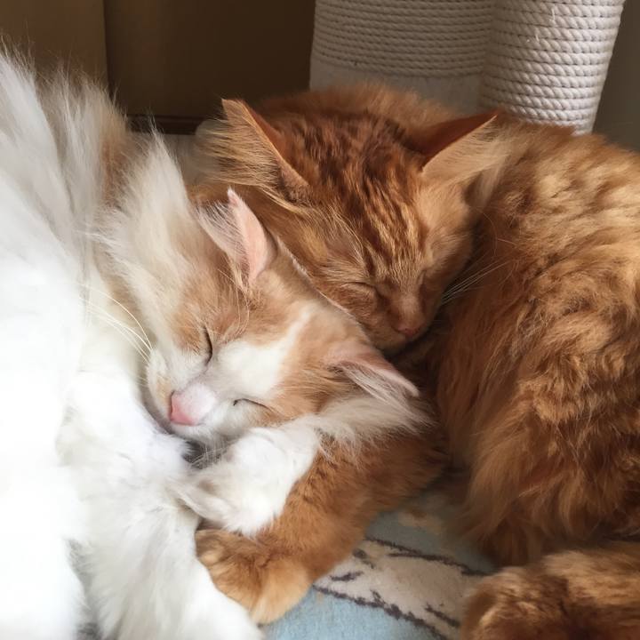 C71804b7 1299 4089 8adc 8fe7b185c96c