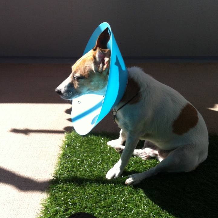 C718500a ce1c 4a8e 8018 bf42839a59d2