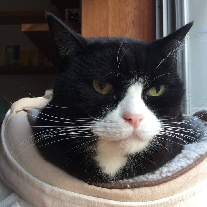 C718b747 fd3a 49ae a68a 82bd89bb84a5