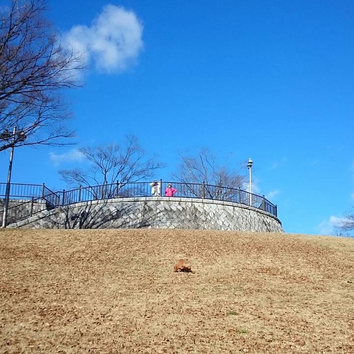 C719d880 7a36 41f4 ac63 e59ac58cac91