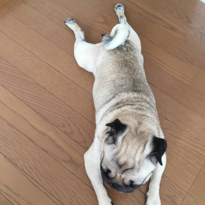 C71b0bc7 46b2 42ac 98cb 3e315131e402