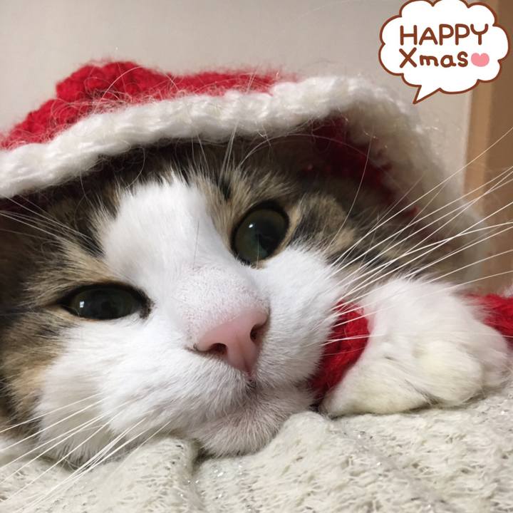 C71b2e81 7a0e 48ce b670 a38e010d2141