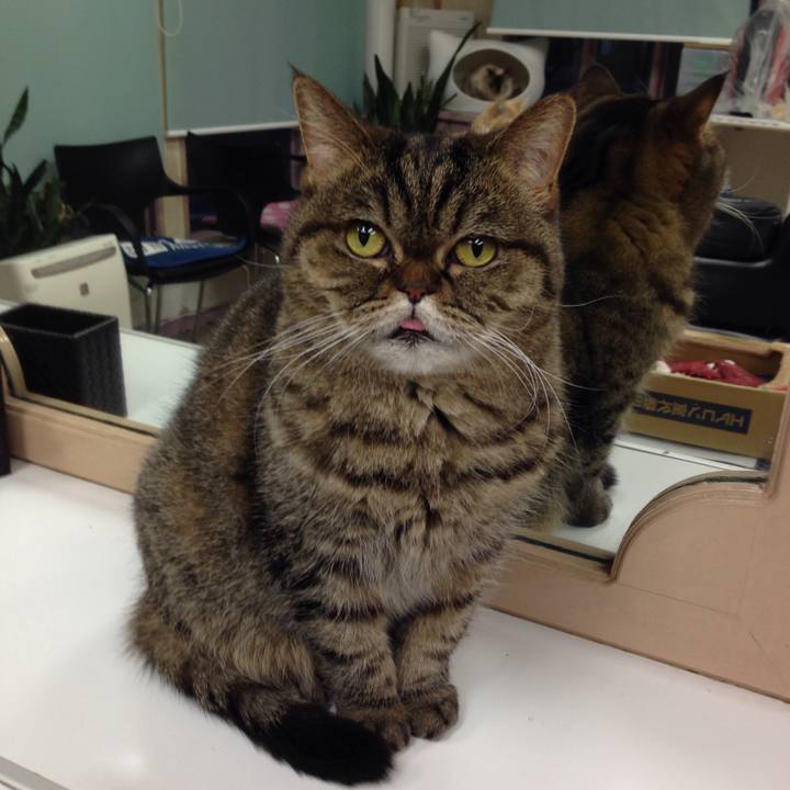 C71b6f90 9d79 448a a089 22132ffd0808