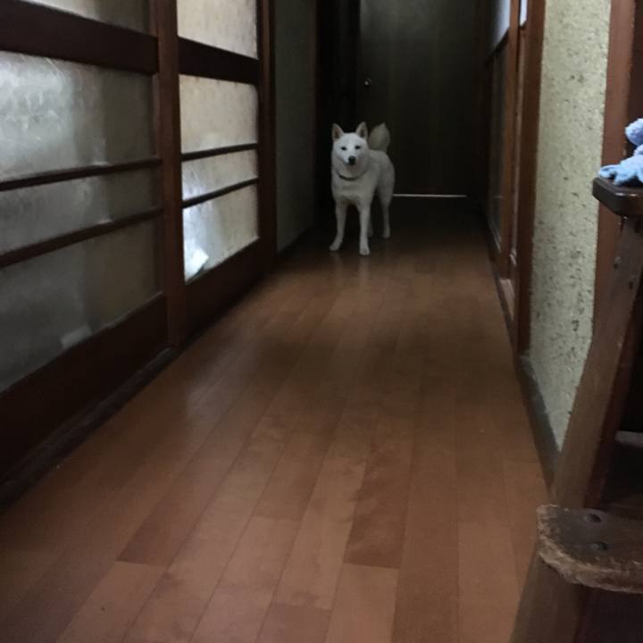 C71b8c99 25a9 429e af2a 2766981365ad