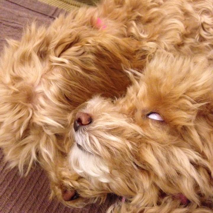 C71c70e0 87e8 469a 8ac7 5d483838ed57