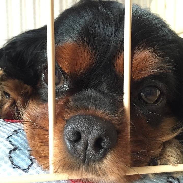 C71cc1f0 284c 4373 9a34 e6fa1324076a