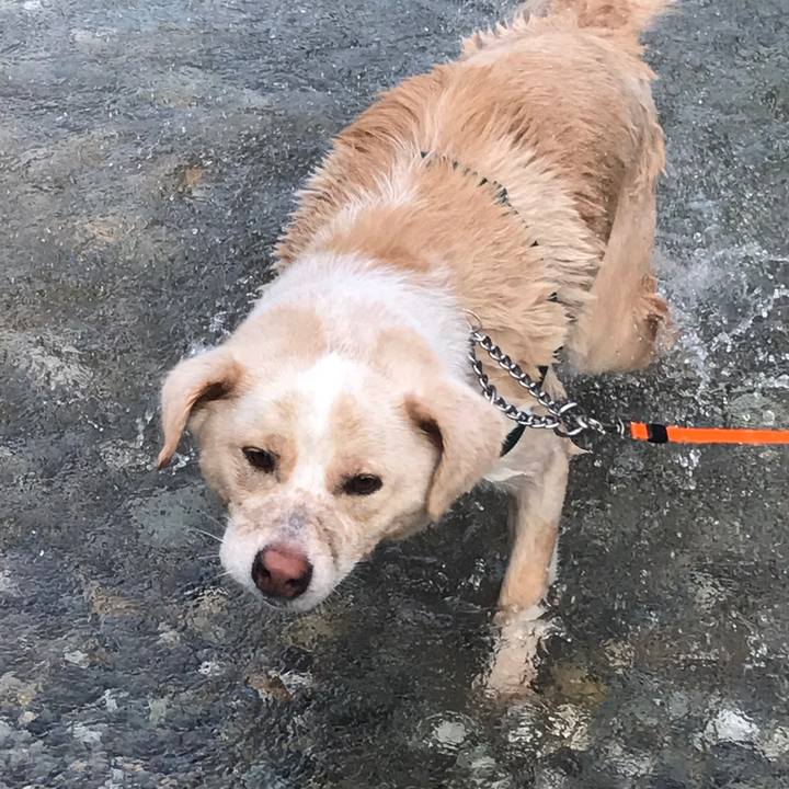 C71d4528 6005 49ed a886 9aa5c373cc74