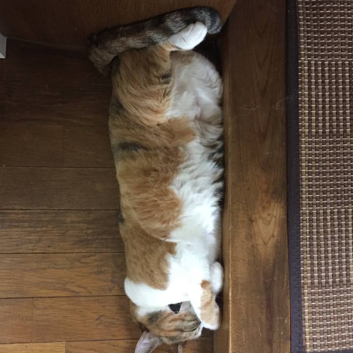 C71dc192 b6a1 4d99 999d 47147f38204f