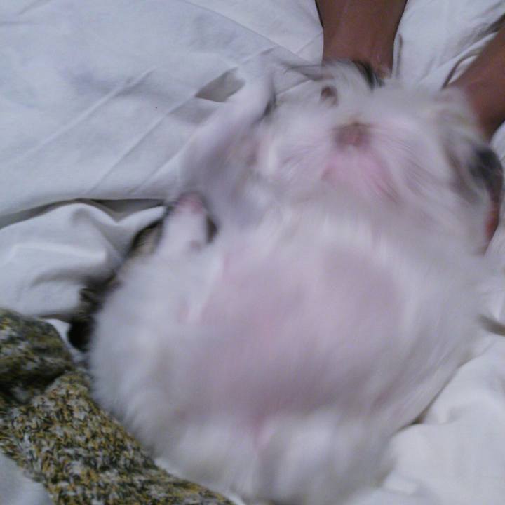 C71dcd87 96a2 4b8b a614 a73a44393f3d