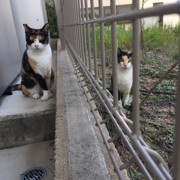 C71e01fd 5a43 44f1 84f1 acb7827a6d41