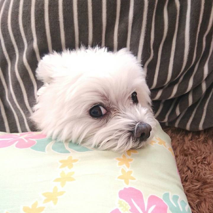 C71e33e7 913b 43c7 a259 4d3d9a65c373