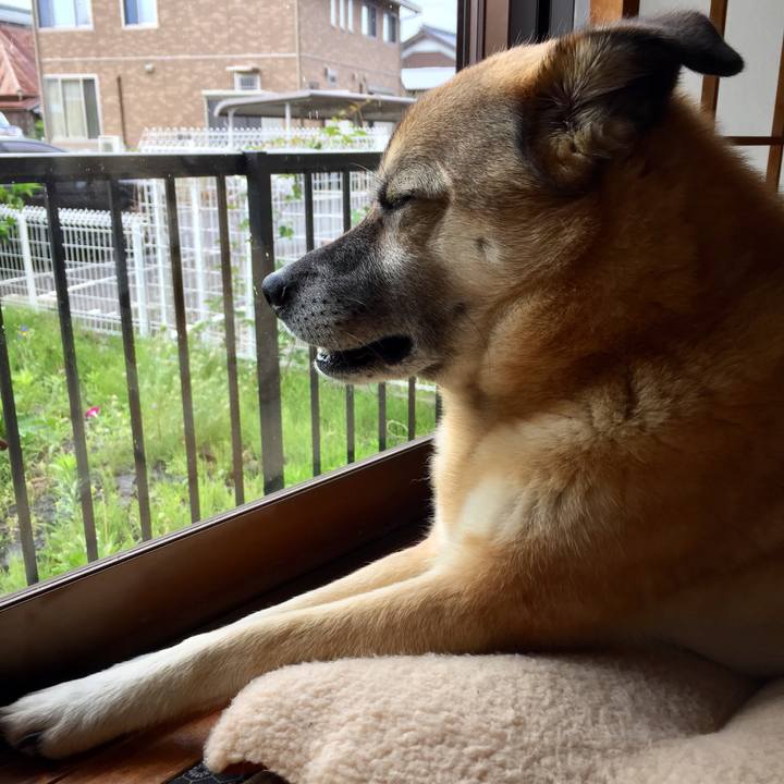 C71e6aa4 ee9a 44e0 8d7a 62baa99c2c92