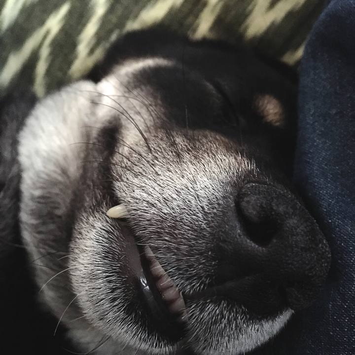 C71ea667 6edc 4011 a8db ed71d3d9c644