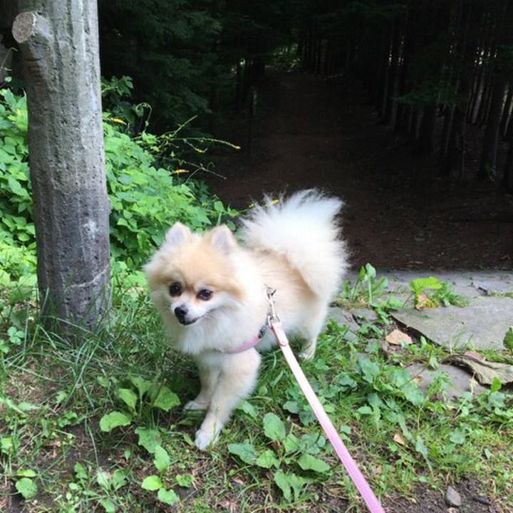 C71ead51 22d0 4024 8880 0285c6e1caf2