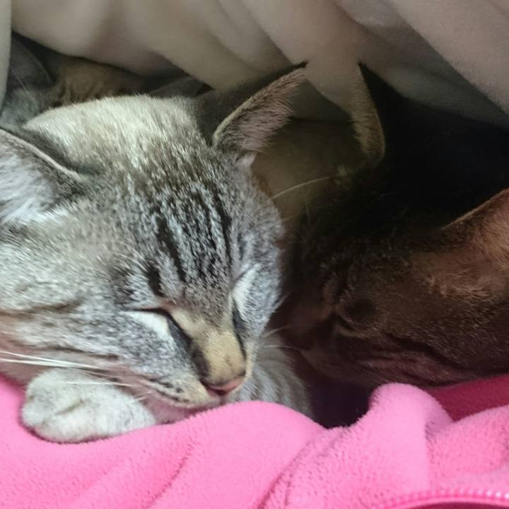 C71ede2c 7db5 4c82 8f82 2b50370a2af3