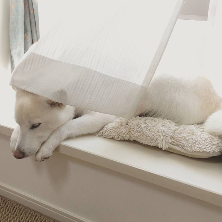 C71f606e 636b 4309 a5cd 5f93d2d6af70