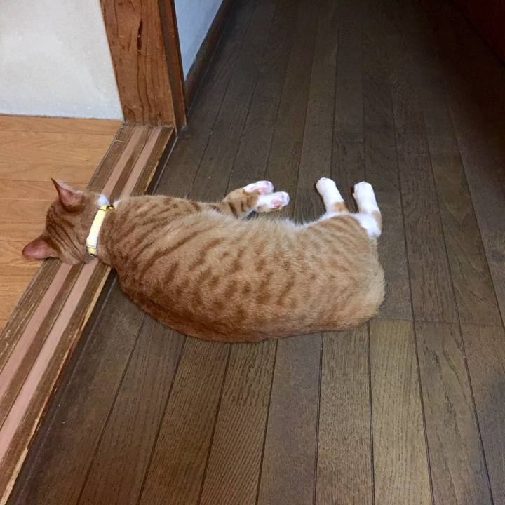 C71f91c4 73aa 4f8c 881f c6c6bc049108