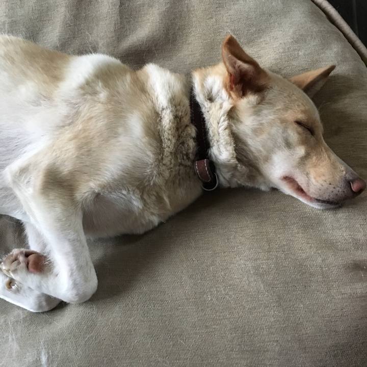 C71f9d44 6b1e 4e88 a54c 031cc1d8ded9