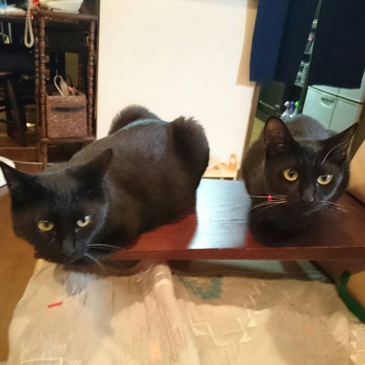 C720bdc4 7e44 40ff 8b24 050e941d72d4