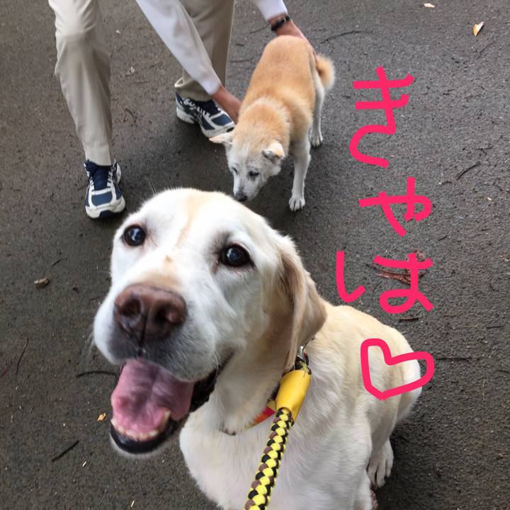 C720cd13 2737 4071 a293 aa275b410fcf