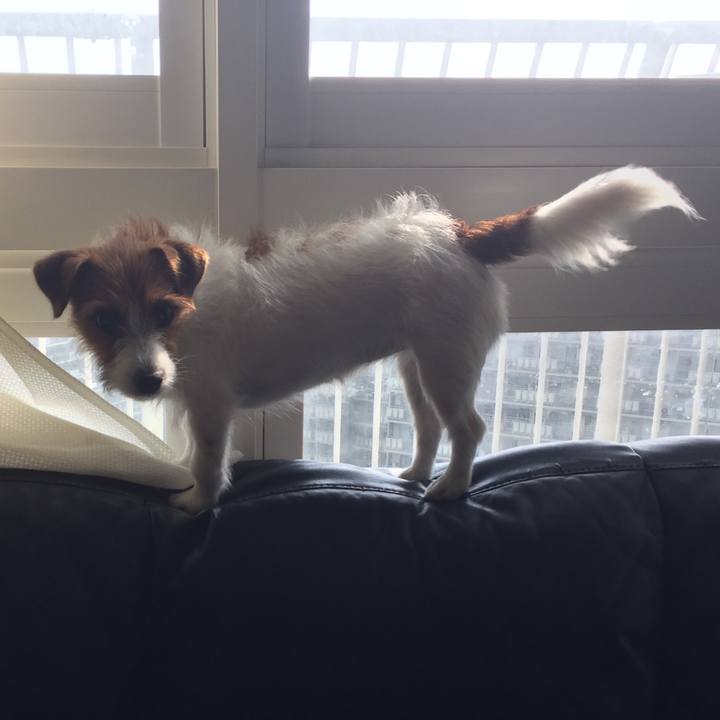 C720e431 1c1b 4eac 9465 3072d0038fd9