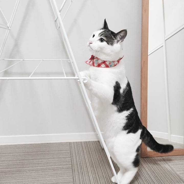 C7232ccf bec7 428f 8d14 8e08ff73485c