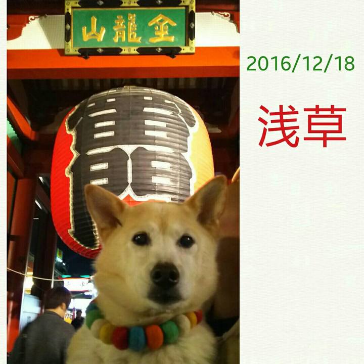 C723ed5d 8e87 4ece bb9f ad25d85bc199