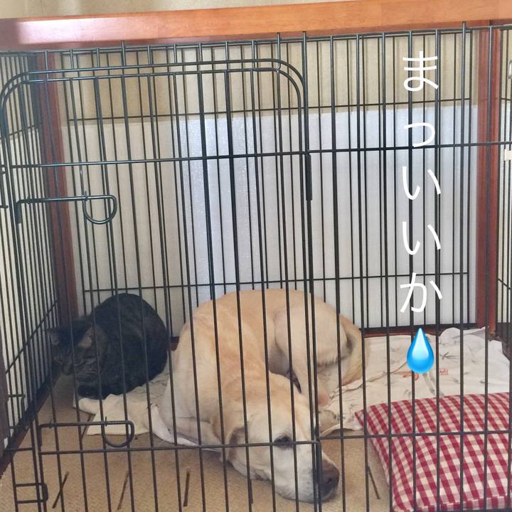 C72448e4 b5a8 48e3 88bf 1bfe1b9a921d