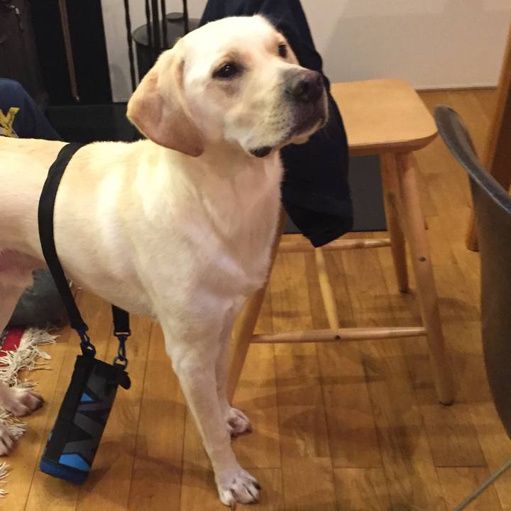 C724ade4 e213 4eca 922f be7fc25d2982