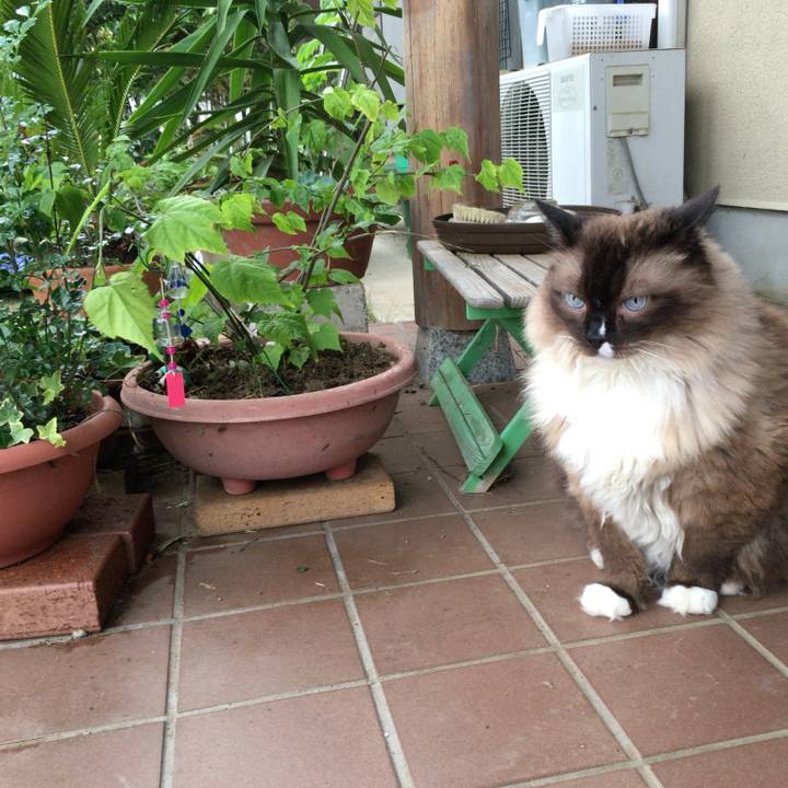 C7250a42 3f45 4afd 9512 40129ad0f9db