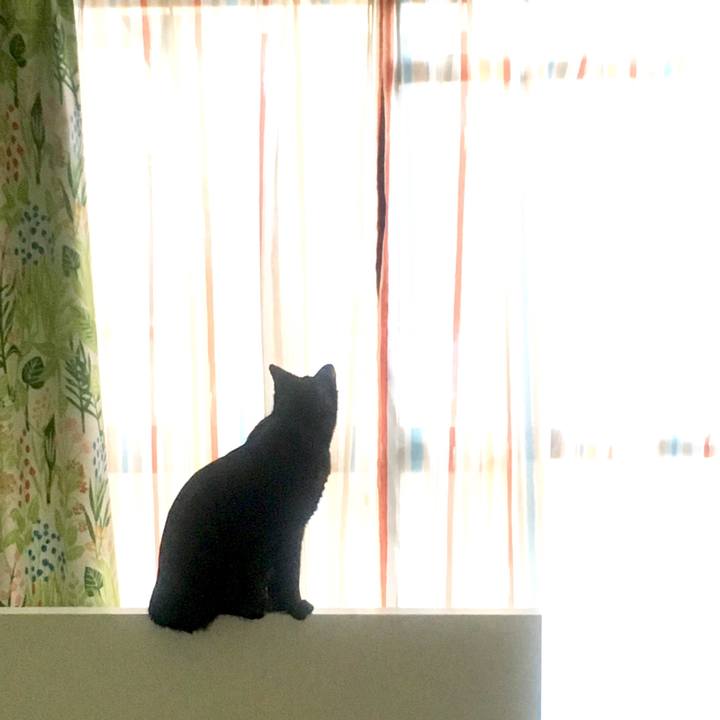 C725c0c6 9631 41af 8b94 6ba49db6b997