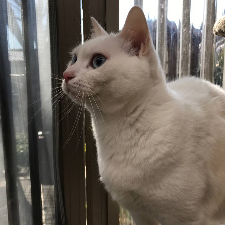 C726ed28 46b6 43e0 86be 2ebcad9dff23