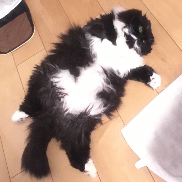 C7270c0b c97f 4e1b a176 7fcaf765f7a8