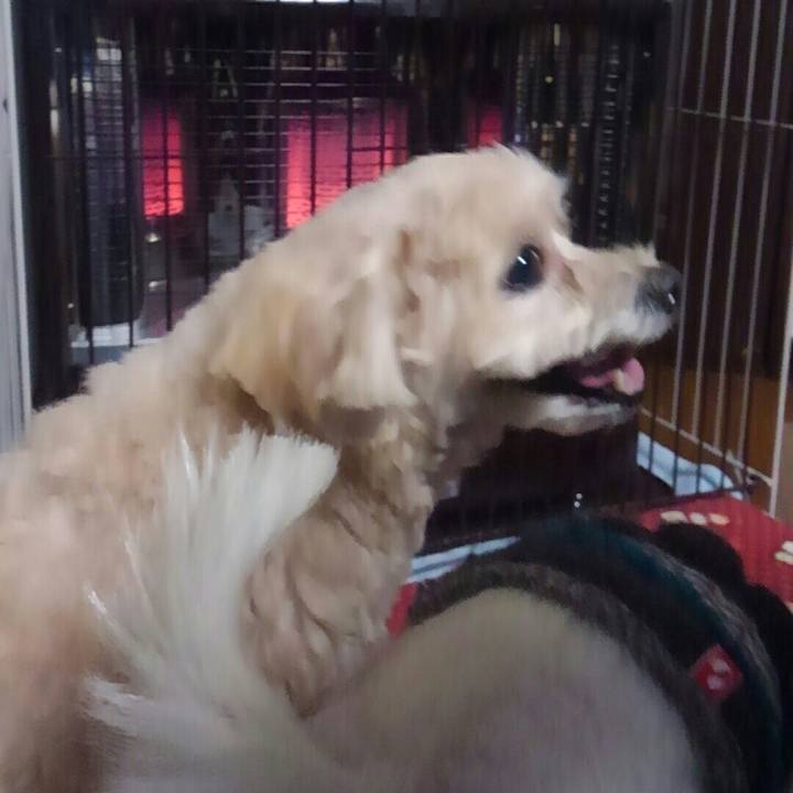 C7286e27 a71b 43e8 9f12 70075dded9a2