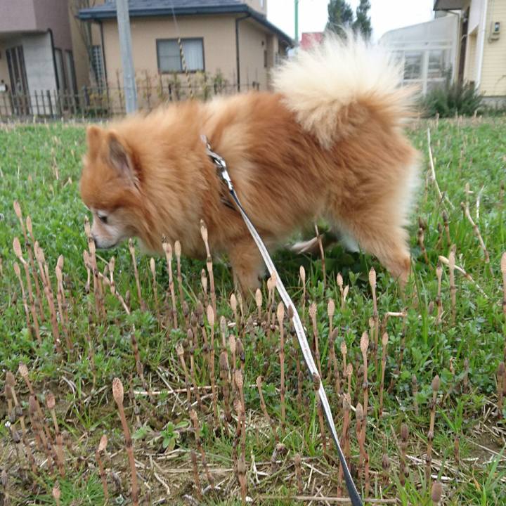 C72875da f705 4929 a00c a80bf83b49ec